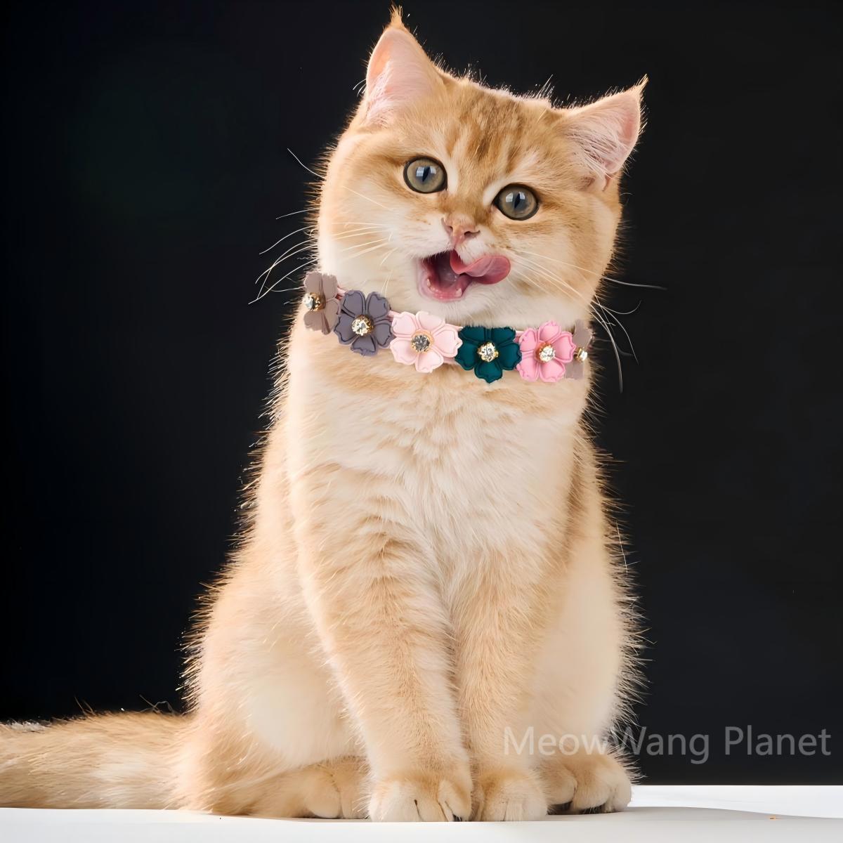 0a1dc5ca-5f01-4ed5-9bf9-f9d36d947da6-1.jpg 0a1dc5ca-5f01-4ed5-9bf9-f9d36d947da6-1.jpg